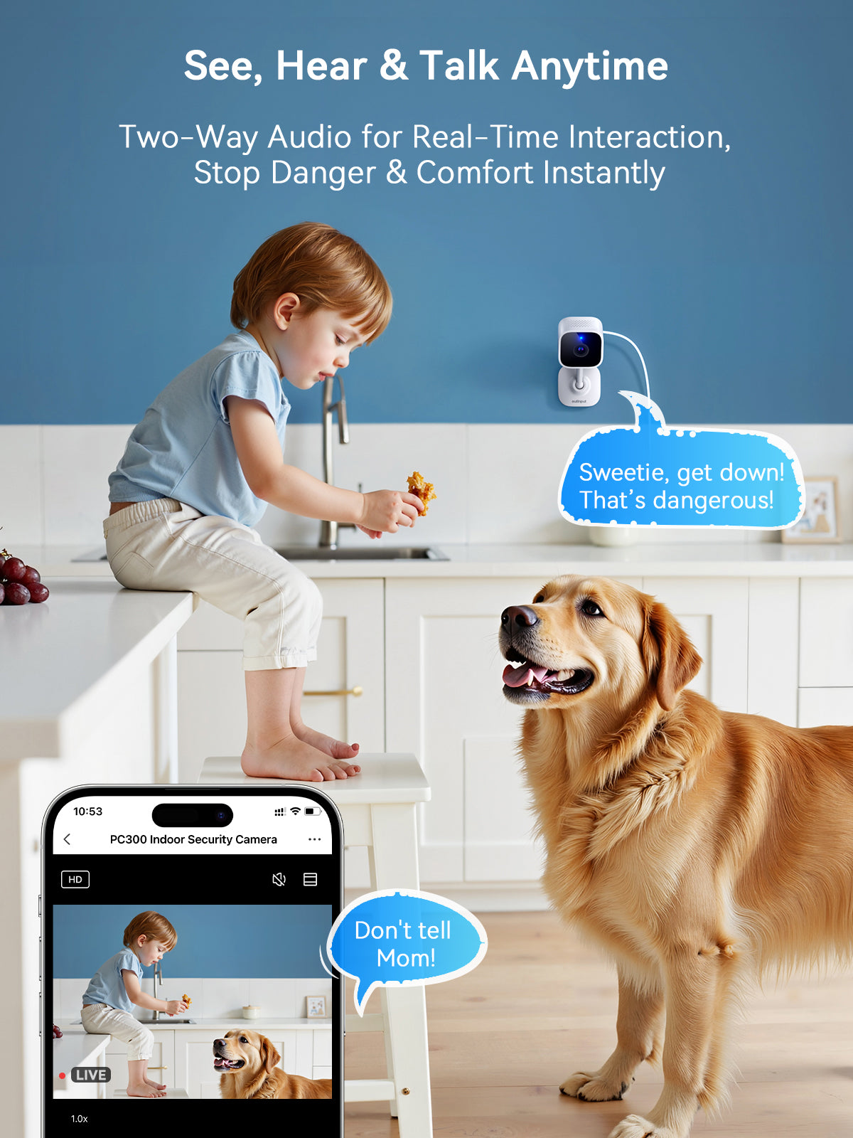 PC300 Indoor WiFi Camera