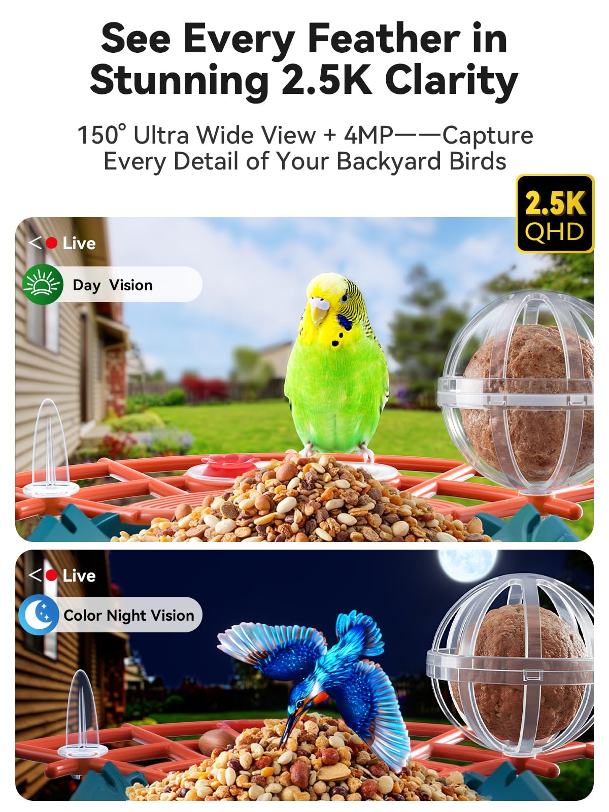 PF710 Smart Bird Feeder